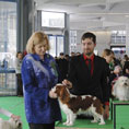 Expo