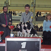 Expo