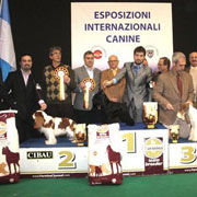 Expo