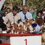 Expo