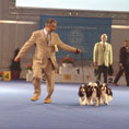 Expo