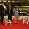 Expo